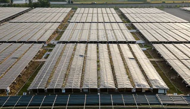 信息系统集成的实际取舍：适用情况与限制分析